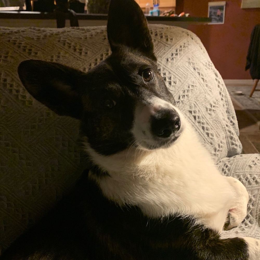 Meet your Posher, Terri